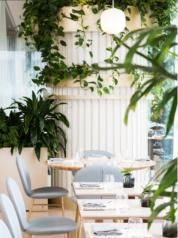 Botanist-at-Fairmont-Pacific-Rim-tacchini-4